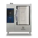 Electrolux Professional 219962 Half Size Natural Gas Combi Oven