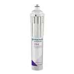 Everpure CTO-Q  Replacement Cartridge,  10", 15